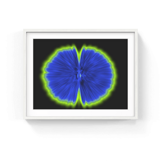 Butterfly Experiments in blue, 2015-Agnes Denes-Pinto Gallery