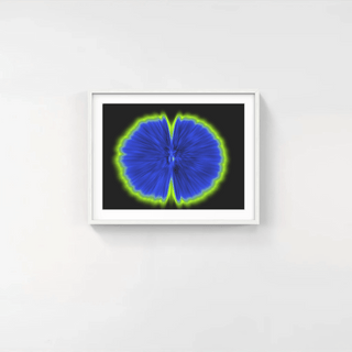 Butterfly Experiments in blue, 2015-Agnes Denes-Pinto Gallery
