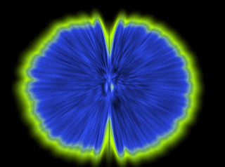 Butterfly Experiments in blue, 2015-Agnes Denes-Pinto Gallery