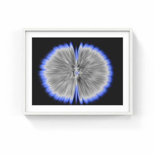 Butterfly Experiments in grey, 2015-Agnes Denes-Pinto Gallery