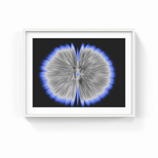 Butterfly Experiments in grey, 2015-Agnes Denes-Pinto Gallery