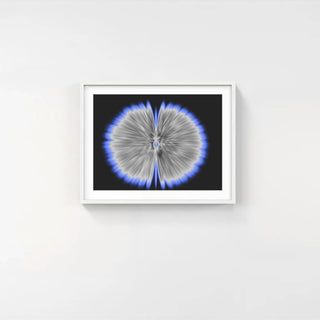 Butterfly Experiments in grey, 2015-Agnes Denes-Pinto Gallery