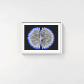 Butterfly Experiments in grey, 2015-Agnes Denes-Pinto Gallery