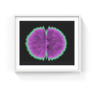 Butterfly Experiments in lilac, 2015-Agnes Denes-Pinto Gallery