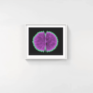 Butterfly Experiments in lilac, 2015-Agnes Denes-Pinto Gallery