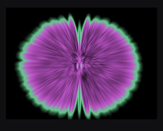 Butterfly Experiments in lilac, 2015-Agnes Denes-Pinto Gallery