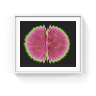 Butterfly Experiments in pink, 2015-Agnes Denes-Pinto Gallery