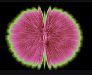 Butterfly Experiments in pink, 2015-Agnes Denes-Pinto Gallery