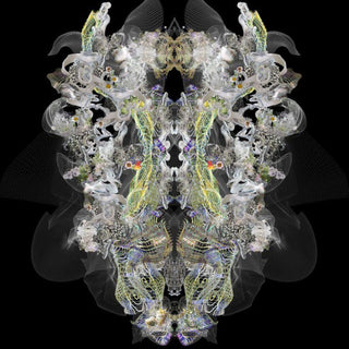 Coalescent (#2), 2012-Alyson Shotz-Pinto Gallery