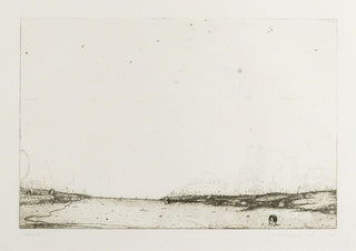 Cryptoveldt, 2003-Nigel Cooke-Pinto Gallery
