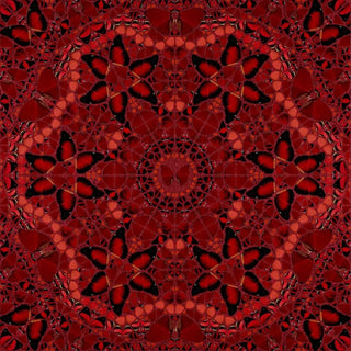 Damien Hirst - The Empresses - H10 1-5 (set of 5), 2022 - Pinto Gallery