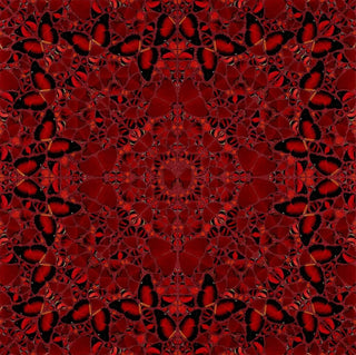 Damien Hirst - The Empresses - H10 1-5 (set of 5), 2022 - Pinto Gallery