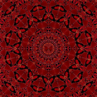 Damien Hirst - The Empresses - H10 1-5 (set of 5), 2022 - Pinto Gallery