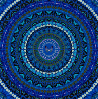 Damien Hirst - Water H6-9, 2020 - Pinto Gallery