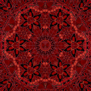 Damien Hirst - Wu Zetian, 2022
 - Pinto Gallery