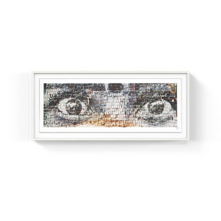Eyes on bricks, New Delhi, Inde, 2009, 2011-JR-Pinto Gallery