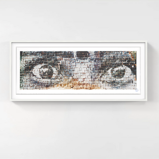 Eyes on bricks, New Delhi, Inde, 2009, 2011-JR-Pinto Gallery