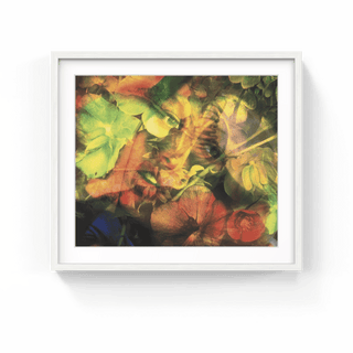 Flesheater 4, 2000-Mat Collishaw-Pinto Gallery