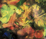Flesheater 4, 2000