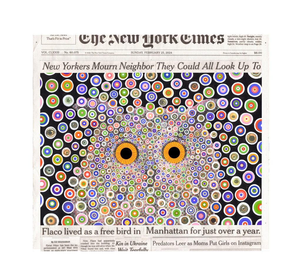 Fred Tomaselli - Flaco, February 25, 2024, 2024 - Pinto Gallery