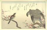 Hawk and Shrike, After 1792
