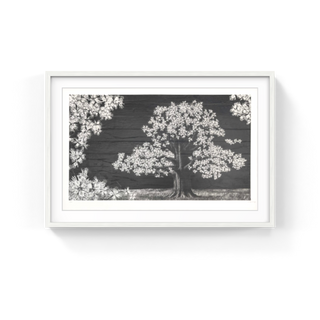 JR - Adventice, Montpellier, France, 2025 - Pinto Gallery