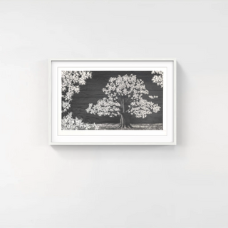 JR - Adventice, Montpellier, France, 2025 - Pinto Gallery