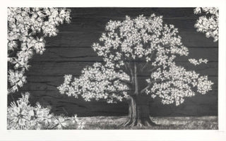 JR - Adventice, Montpellier, France, 2025 - Pinto Gallery