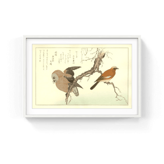 Japanese Jay and Owl, After 1792-Kitagawa Utamaro-Pinto Gallery