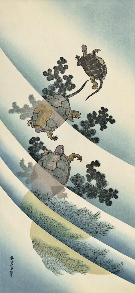 Katsushika Hokusai - Turtles, After 1832 - Pinto Gallery