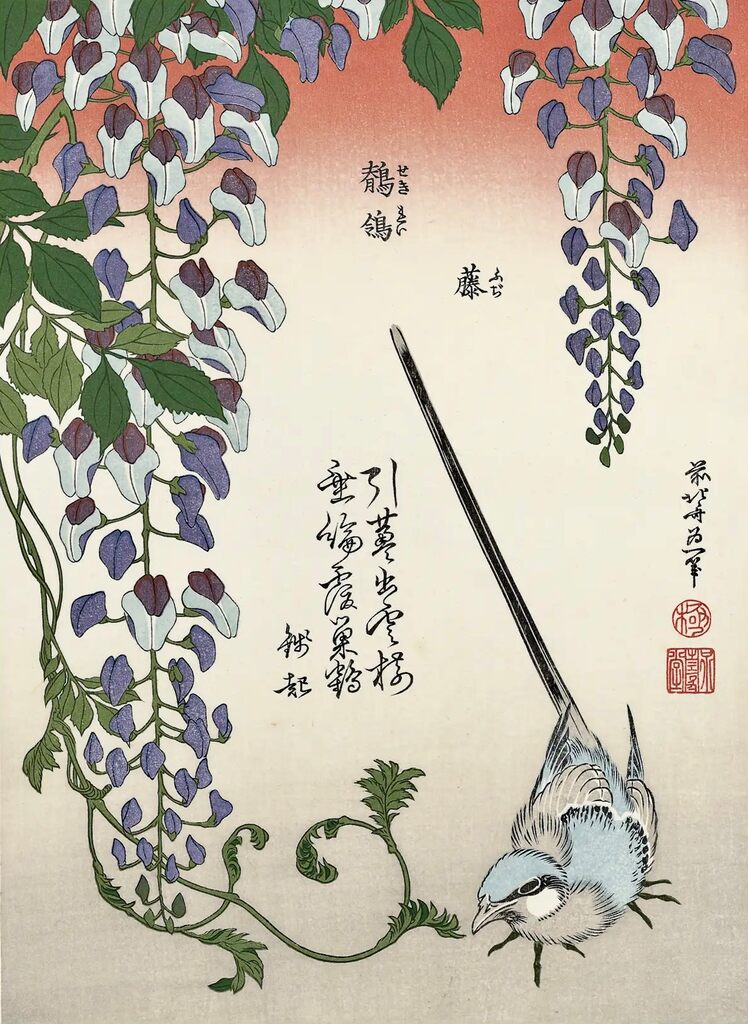 Katsushika Hokusai - Wisteria and Wagtail, After 1834 - Pinto Gallery