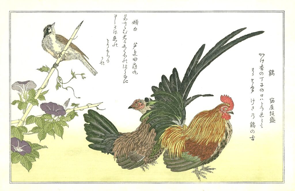 Kitagawa Utamaro - Bantams and Bunting, After 1792 - Pinto Gallery