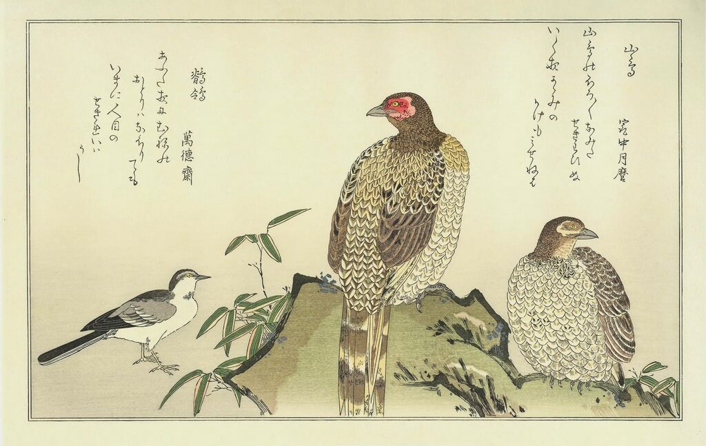 Kitagawa Utamaro - Copper Pheasants and Wagtail, After 1792 - Pinto Gallery