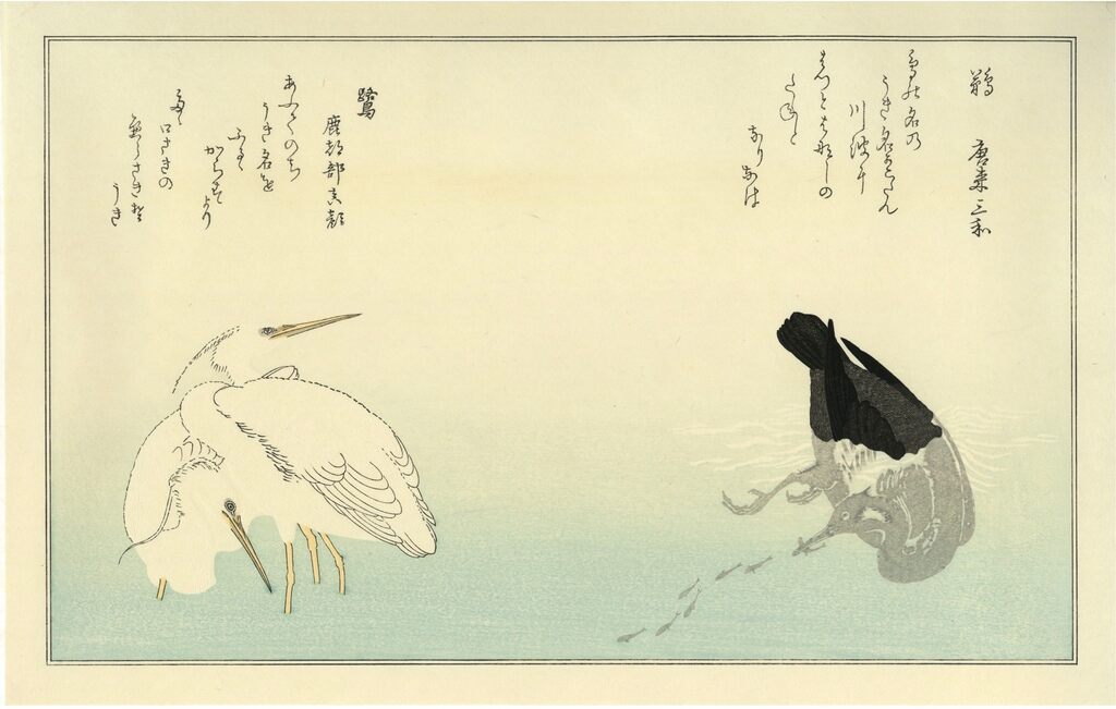 Kitagawa Utamaro - Cormorant and White Herons, After 1792 - Pinto Gallery