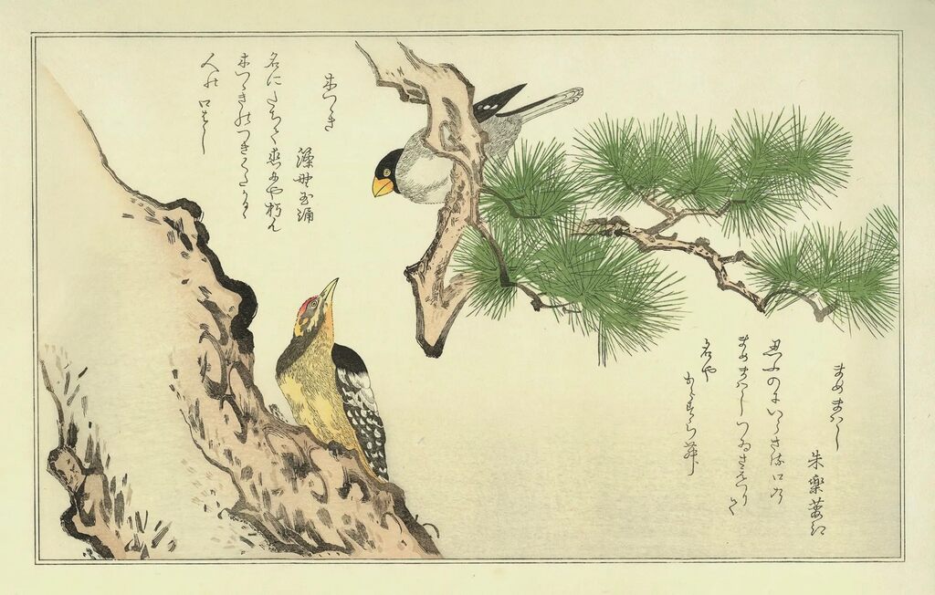 Kitagawa Utamaro - Grosbeak and Woodpecker, After 1792 - Pinto Gallery