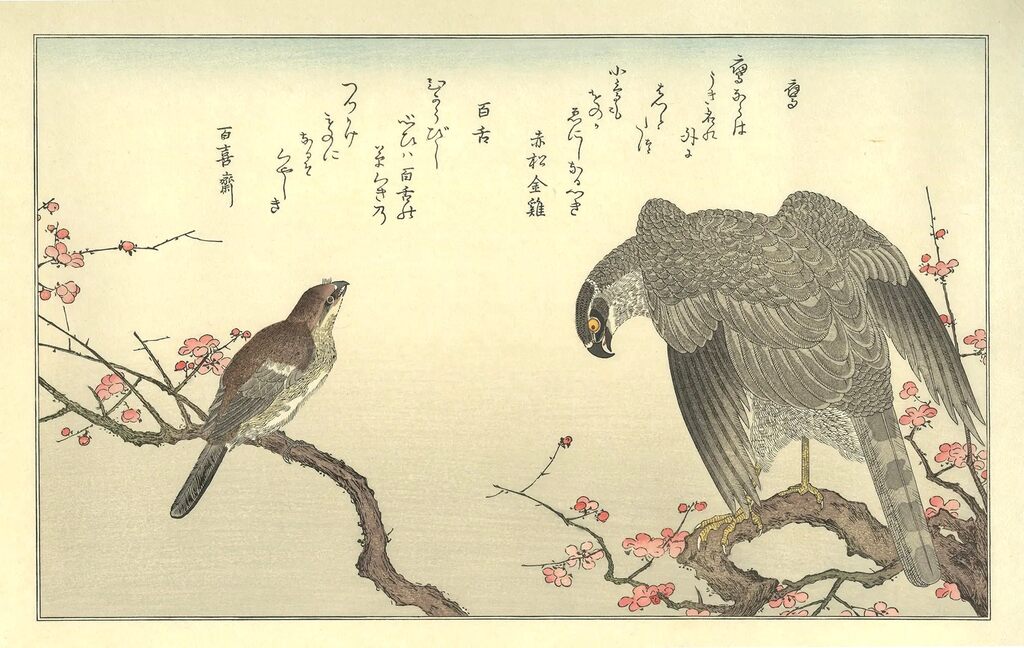 Kitagawa Utamaro - Hawk and Shrike, After 1792 - Pinto Gallery