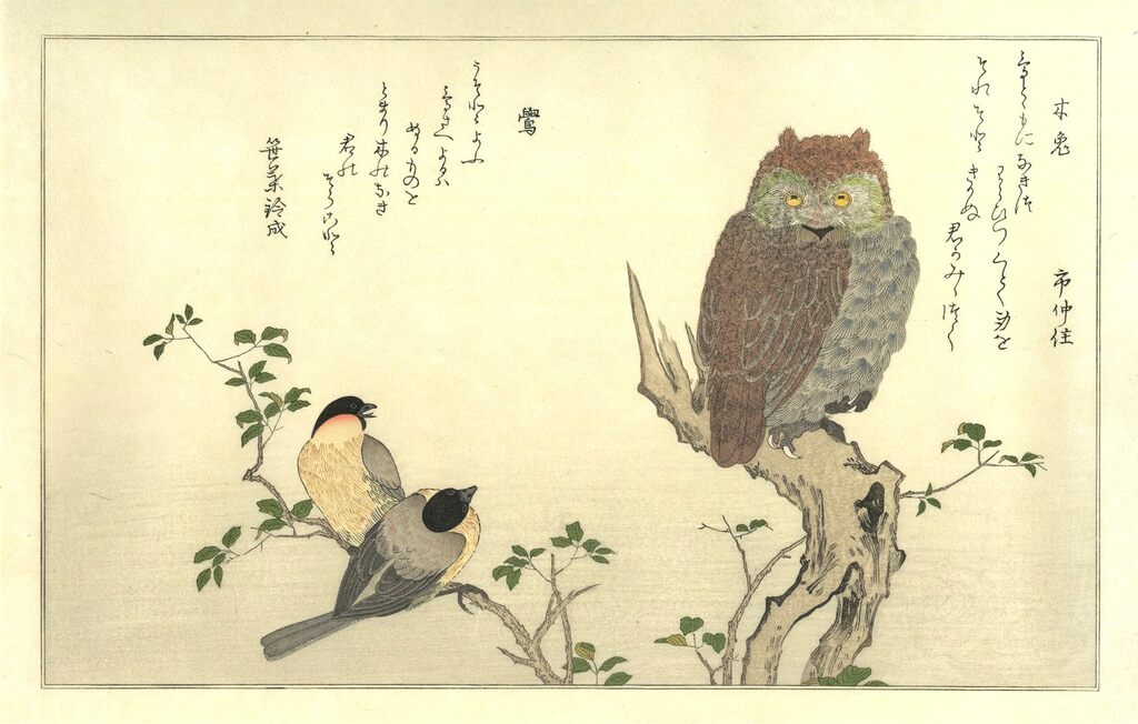 Kitagawa Utamaro - Horned Owl and Bullfinches, After 1792 - Pinto Gallery