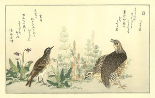 Kitagawa Utamaro - Quails and Lark, After 1792 - Pinto Gallery