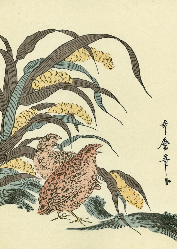 Kitagawa Utamaro - Quails and Millets, After 1792 - Pinto Gallery