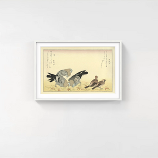 Kitagawa Utamaro - Sparrows and Doves, After 1792 - Pinto Gallery
