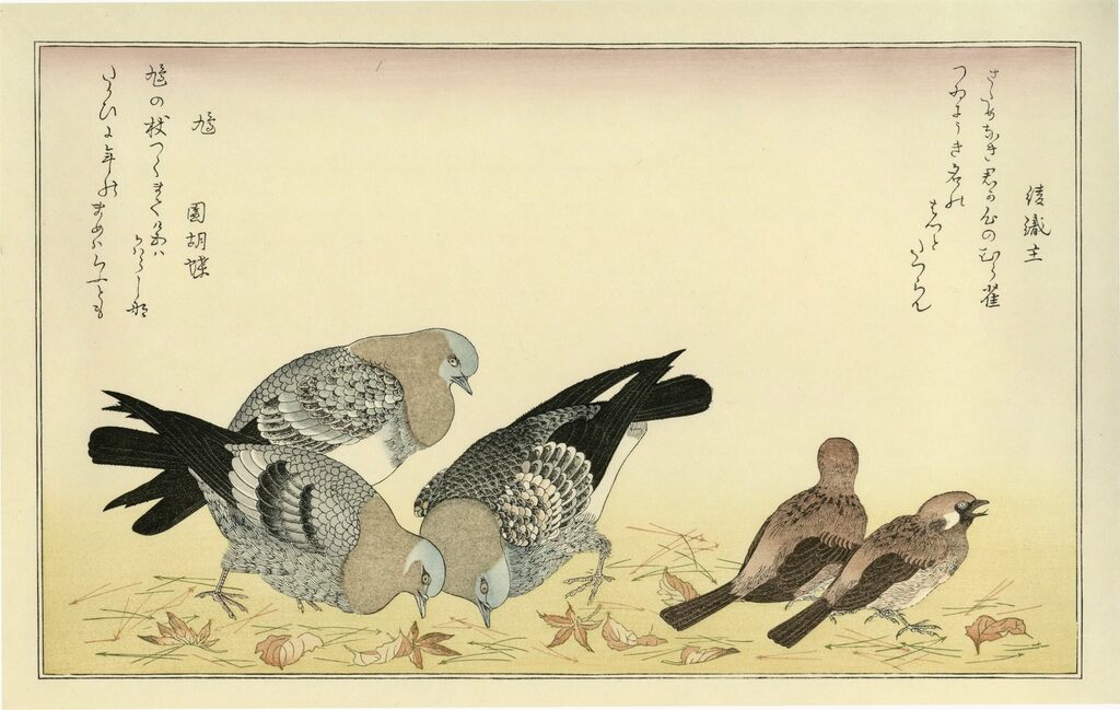 Kitagawa Utamaro - Sparrows and Doves, After 1792 - Pinto Gallery