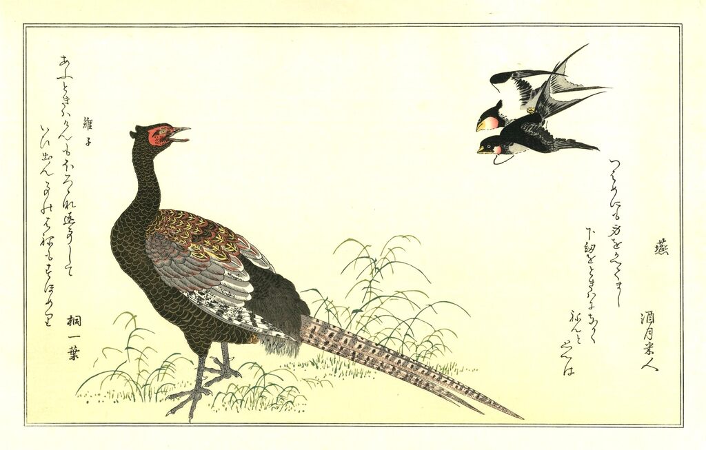 Kitagawa Utamaro - Swallows and Pheasant, After 1792 - Pinto Gallery
