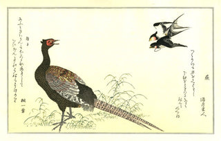 Kitagawa Utamaro - Swallows and Pheasant, After 1792 - Pinto Gallery