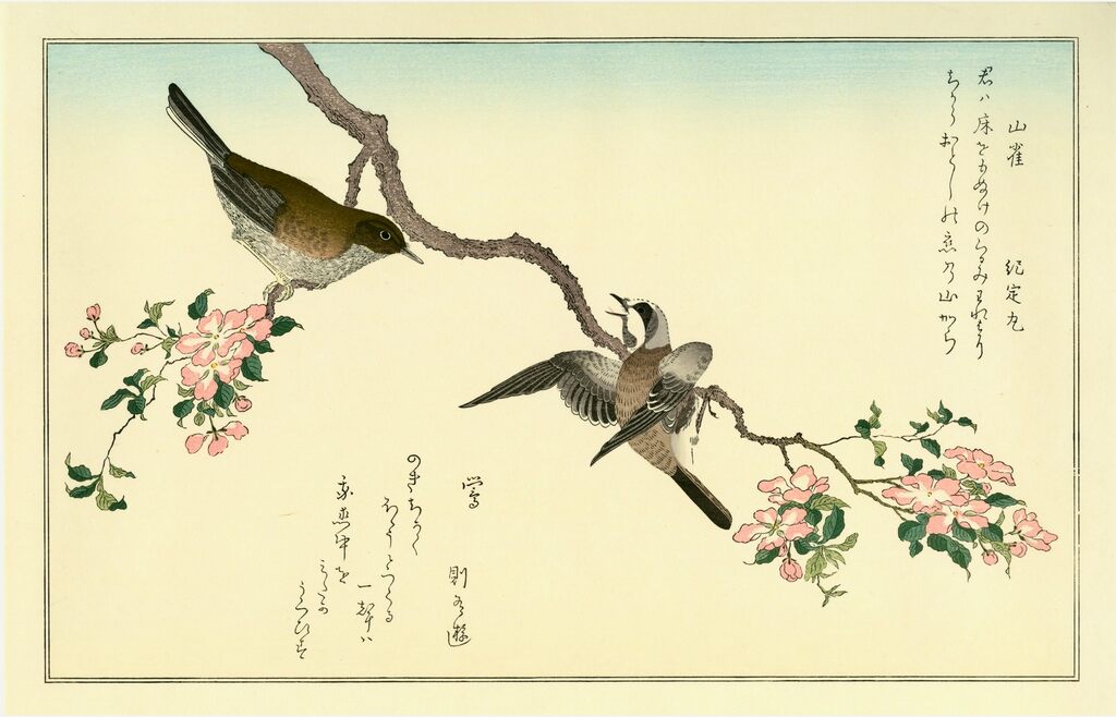 Kitagawa Utamaro - Titmouse and Japanese Nightingale, After 1792 - Pinto Gallery