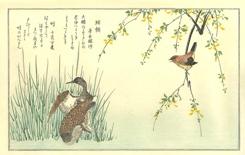 Kitagawa Utamaro - Wren and Snipes, After 1792 - Pinto Gallery