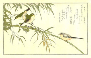 Longtailed Tit and White-eyes, After 1792-Kitagawa Utamaro-Pinto Gallery