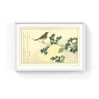 Manchurian Great Tit and Robin, After 1792-Kitagawa Utamaro-Pinto Gallery