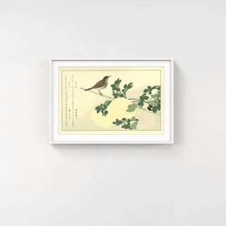 Manchurian Great Tit and Robin, After 1792-Kitagawa Utamaro-Pinto Gallery