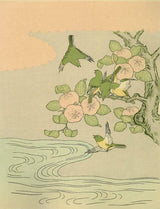 Mandarin Orange and white-eyes, After 1765