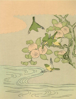 Mandarin Orange and white-eyes, After 1765-Suzuki Harunobu-Pinto Gallery